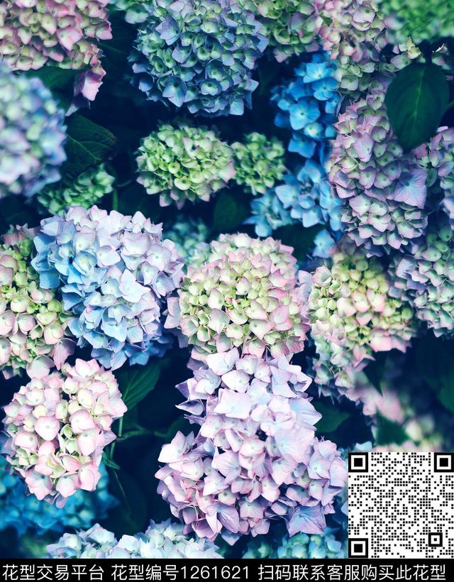 鸢尾花蒲公英手绘大花数码印花华亿平台下载（图片编号: 1261621） - 瓦栏（Walan）