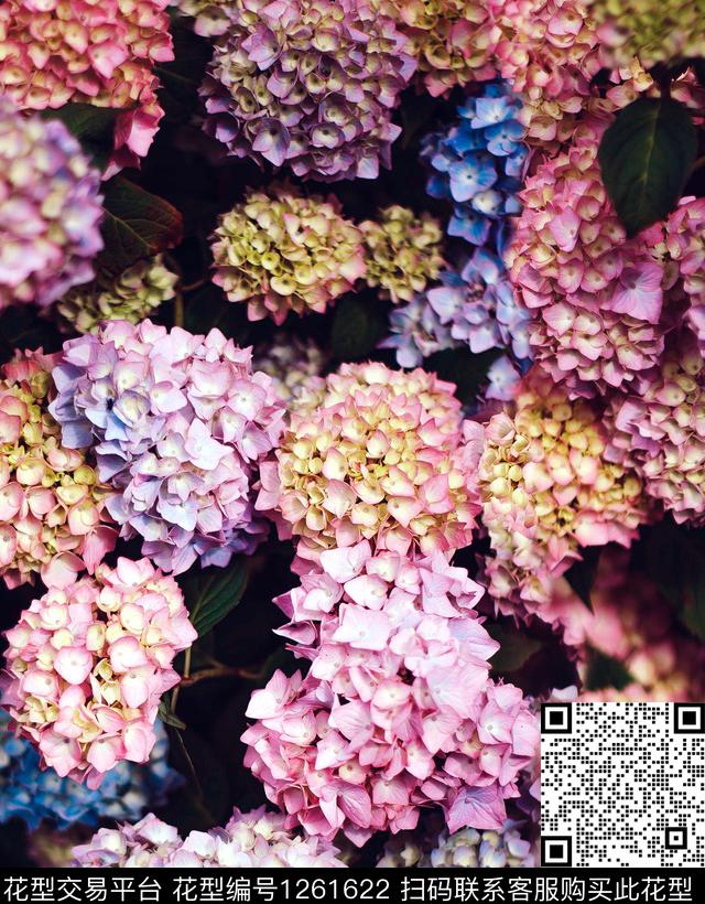 鸢尾花蒲公英手绘大花数码印花华亿平台下载（图片编号: 1261622） - 瓦栏（Walan）