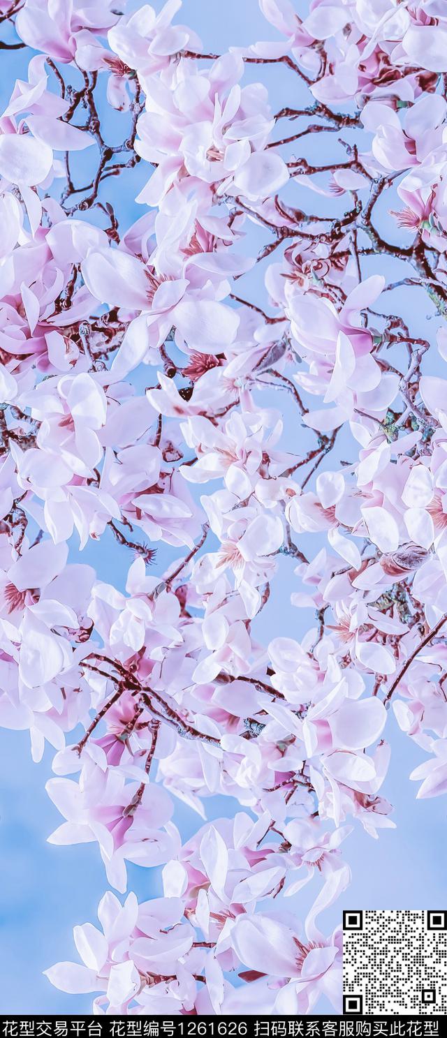 清爽底花卉玉兰花中国风数码印花华亿平台下载（图片编号: 1261626） - 瓦栏（Walan）