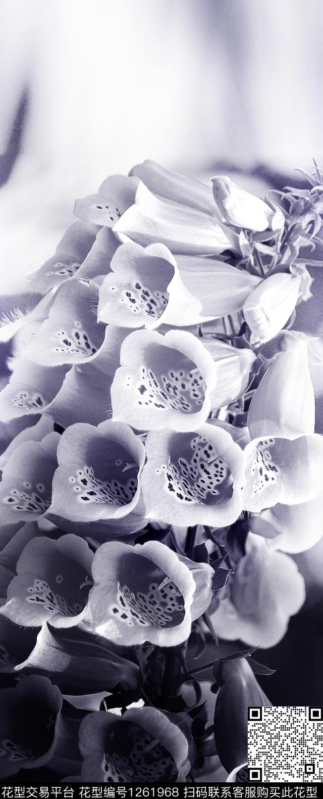 中国风定位花梧桐花灰蓝数码印花华亿平台下载（图片编号: 1261968） - 瓦栏（Walan）