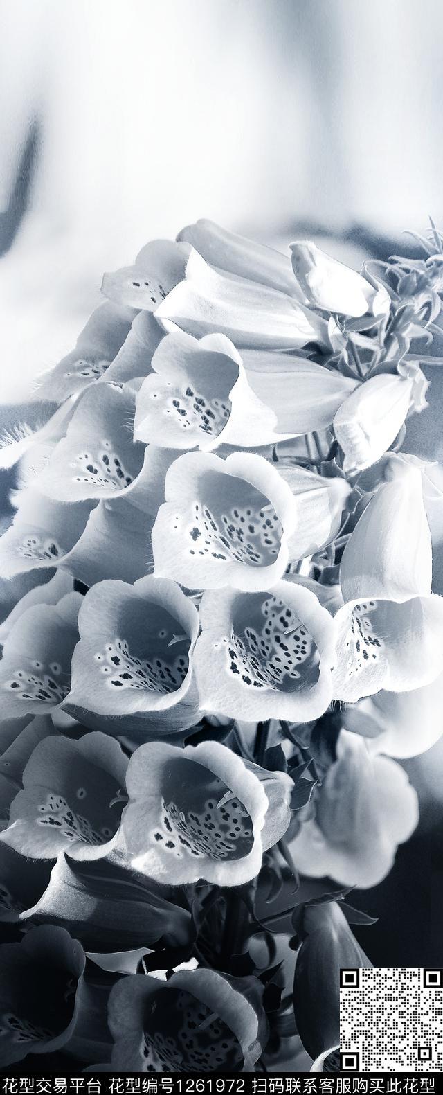 中国风定位花梧桐花灰蓝数码印花华亿平台下载（图片编号: 1261972） - 瓦栏（Walan）