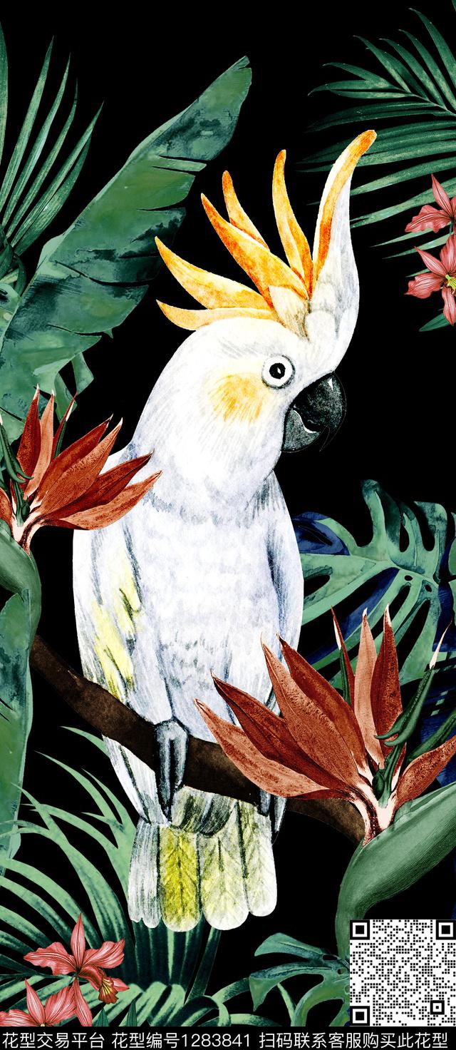 鹦鹉热带华亿平台数码印花华亿平台下载（图片编号: 1283841） - 瓦栏（Walan）