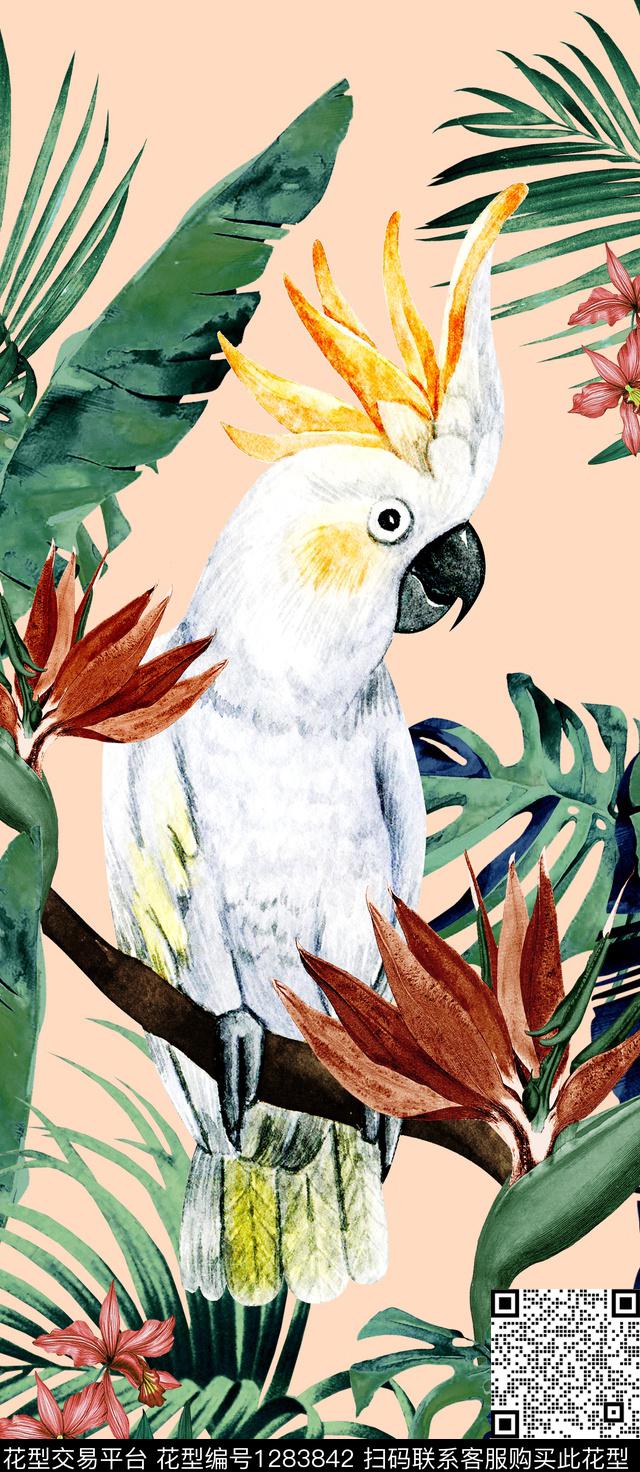 鹦鹉斑马DOLCEGABBANA数码印花华亿平台下载（图片编号: 1283842） - 瓦栏（Walan）