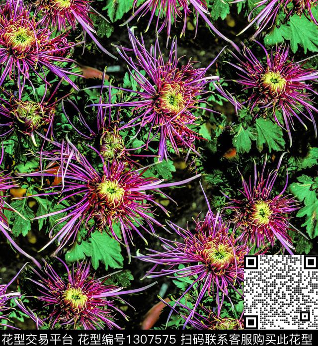 数码华亿平台花卉褪色花卉数码印花华亿平台下载（图片编号: 1307575） - 瓦栏（Walan）