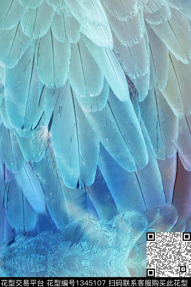 羽毛动物纹多彩羽毛数码印花华亿平台下载（图片编号: 1345107） - 瓦栏（Walan）