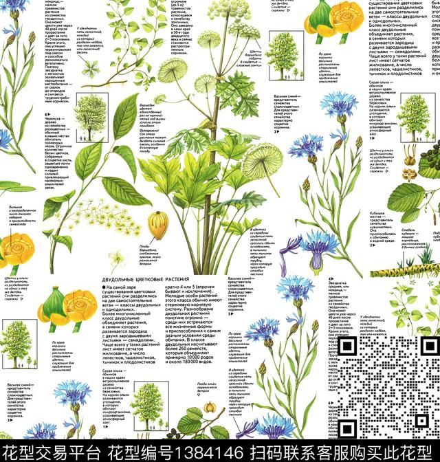 鹦鹉字母线条画数码印花华亿平台下载（图片编号: 1384146） - 瓦栏（Walan）