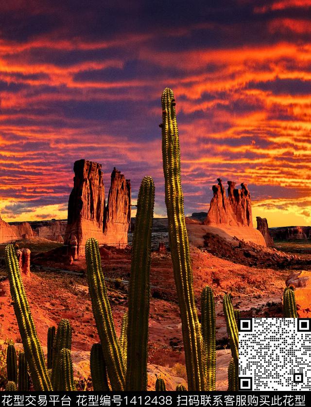 仙人掌大牌风荒漠戈壁数码印花华亿平台下载（图片编号: 1412438） - 瓦栏（Walan）