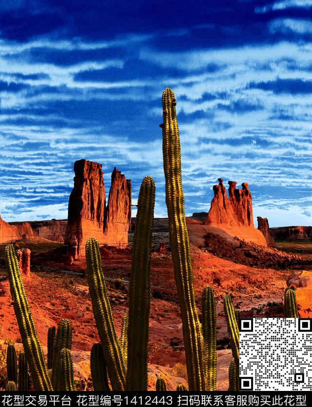 仙人掌大牌风荒漠戈壁数码印花华亿平台下载（图片编号: 1412443） - 瓦栏（Walan）