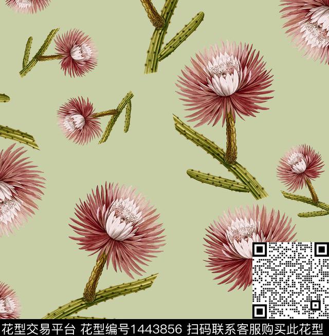 玫瑰花Erdem2022春夏新品数码印花华亿平台下载（图片编号: 1443856） - 瓦栏（Walan）