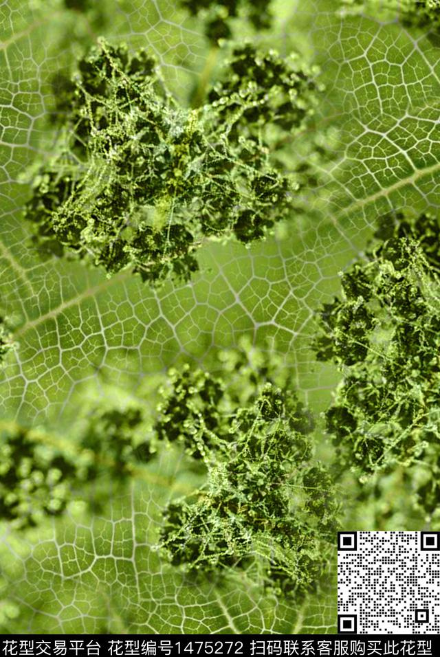 纹理花卉叶脉数码印花华亿平台下载（图片编号: 1475272） - 瓦栏（Walan）