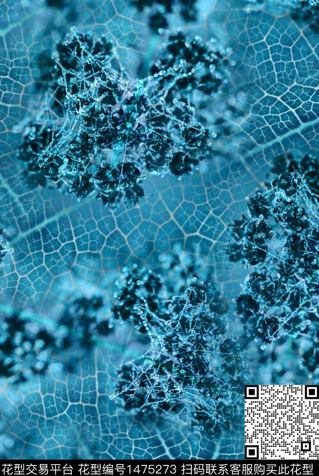 纹理花卉叶脉数码印花华亿平台下载（图片编号: 1475273） - 瓦栏（Walan）