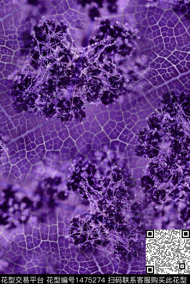 纹理花卉叶脉数码印花华亿平台下载（图片编号: 1475274） - 瓦栏（Walan）