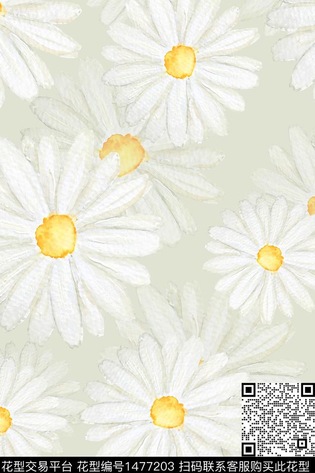 花卉大牌风小雏菊数码印花华亿平台下载（图片编号: 1477203） - 瓦栏（Walan）