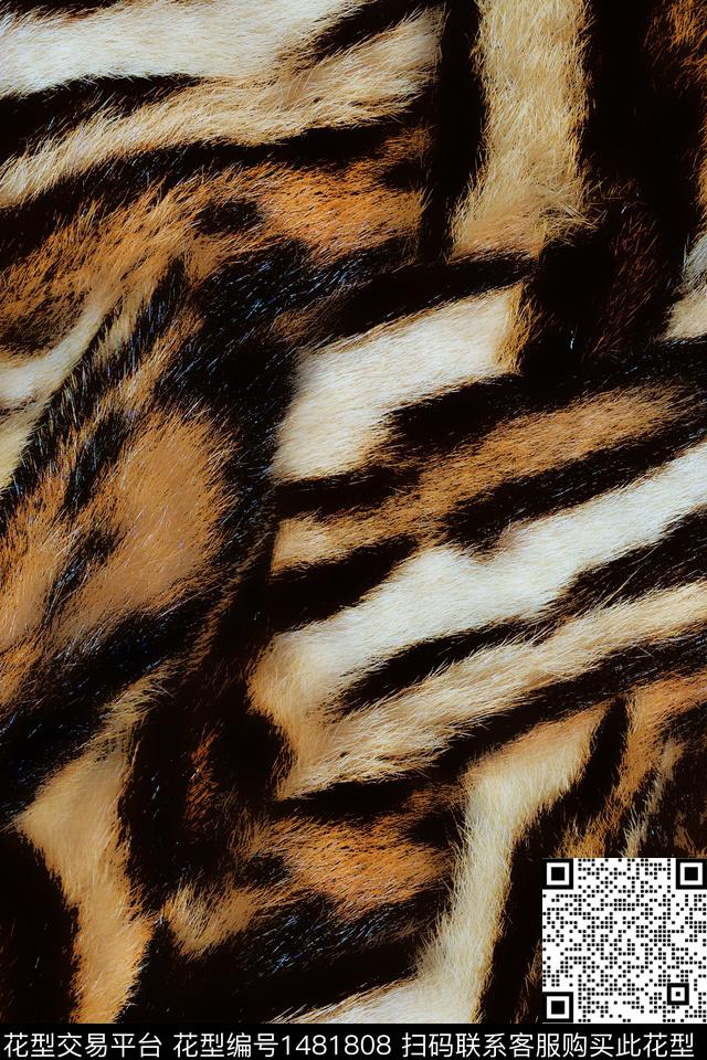 动物纹配饰审数码印花华亿平台下载（图片编号: 1481808） - 瓦栏（Walan）