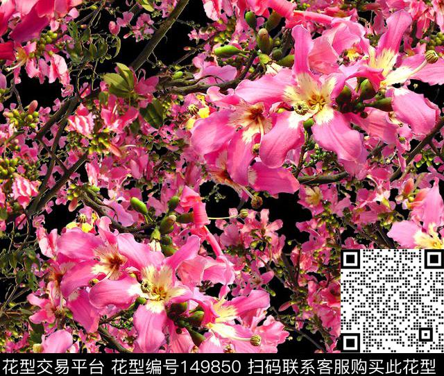 摄影写实花卉植物花枝数码印花华亿平台下载（图片编号: 149850） - 瓦栏（Walan）