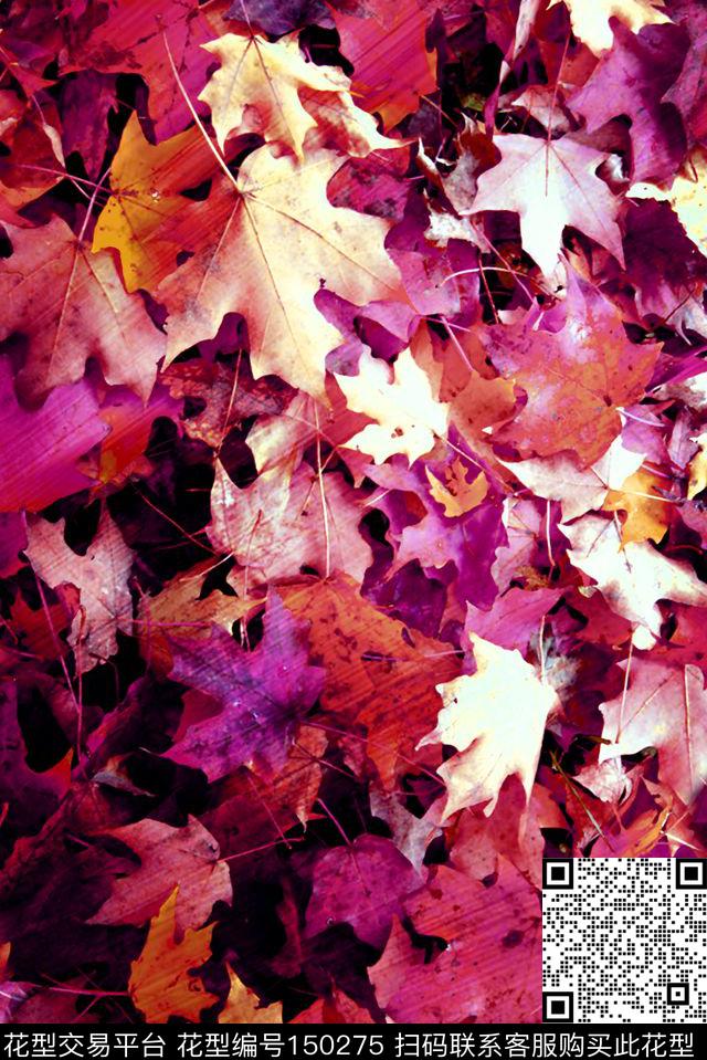 枫叶红叶满底花数码印花华亿平台下载（图片编号: 150275） - 瓦栏（Walan）
