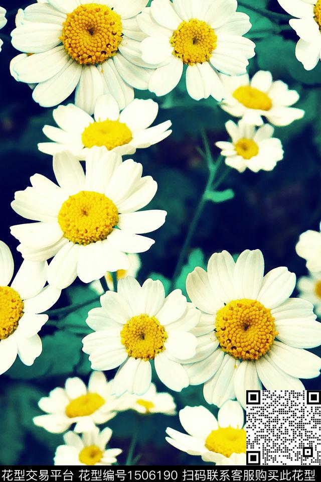 花卉配饰年轻女性数码印花华亿平台下载（图片编号: 1506190） - 瓦栏（Walan）