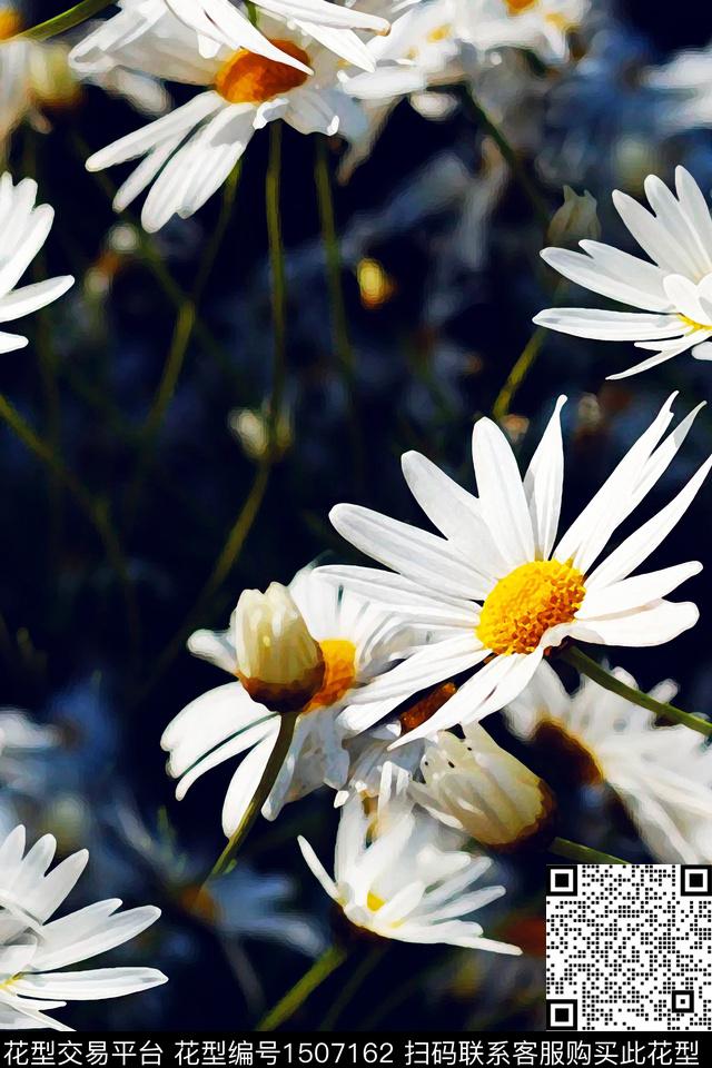 花卉大花年轻女性数码印花华亿平台下载（图片编号: 1507162） - 瓦栏（Walan）