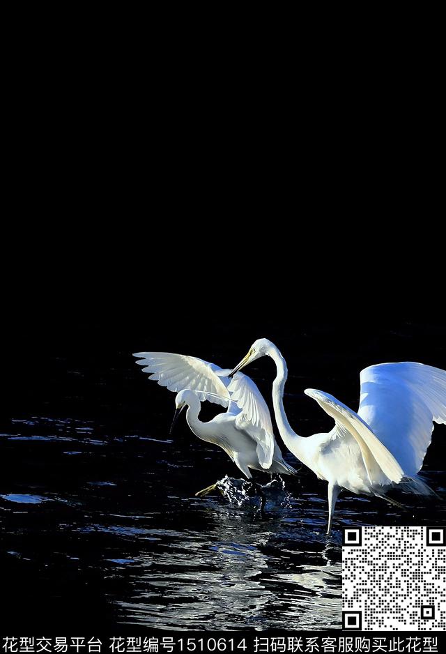 动物男装配饰数码印花华亿平台下载（图片编号: 1510614） - 瓦栏（Walan）