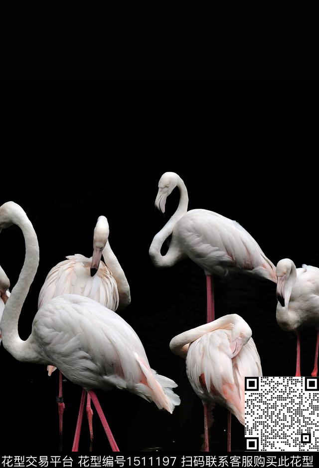 动物火烈鸟配饰数码印花华亿平台下载（图片编号: 1511197） - 瓦栏（Walan）