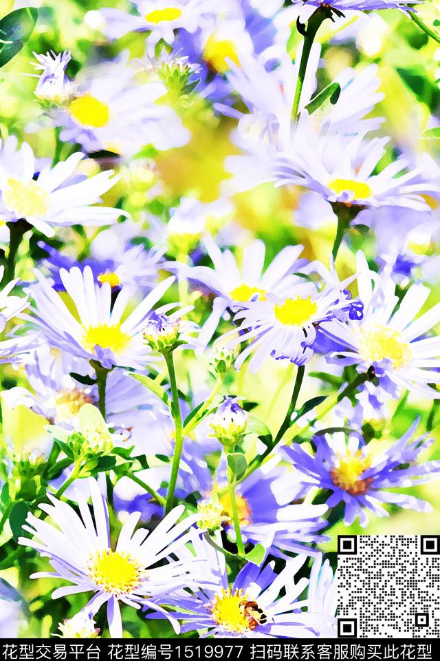 花卉配饰年轻女性数码印花华亿平台下载（图片编号: 1519977） - 瓦栏（Walan）