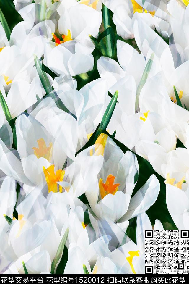 抽象花卉花卉配饰数码印花华亿平台下载（图片编号: 1520012） - 瓦栏（Walan）