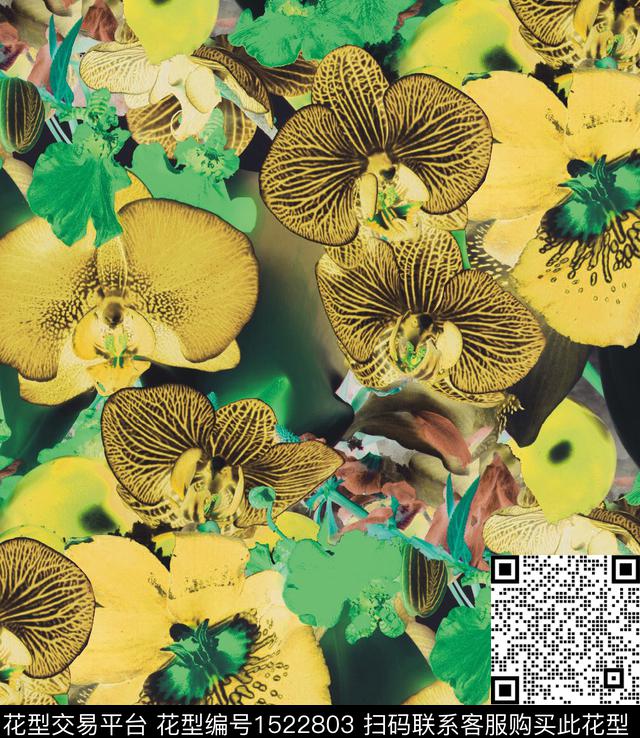 蝴蝶兰中老年大花数码印花华亿平台下载（图片编号: 1522803） - 瓦栏（Walan）
