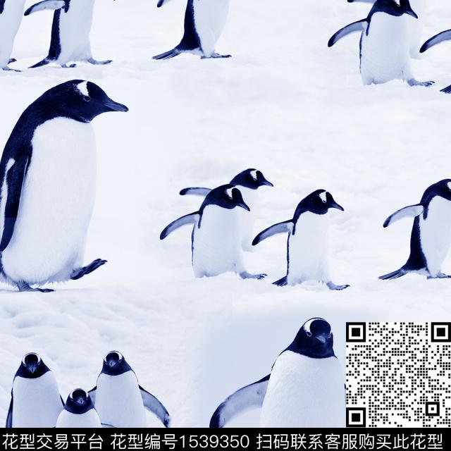 趣味企鹅羽绒服印花数码印花华亿平台下载（图片编号: 1539350） - 瓦栏（Walan）