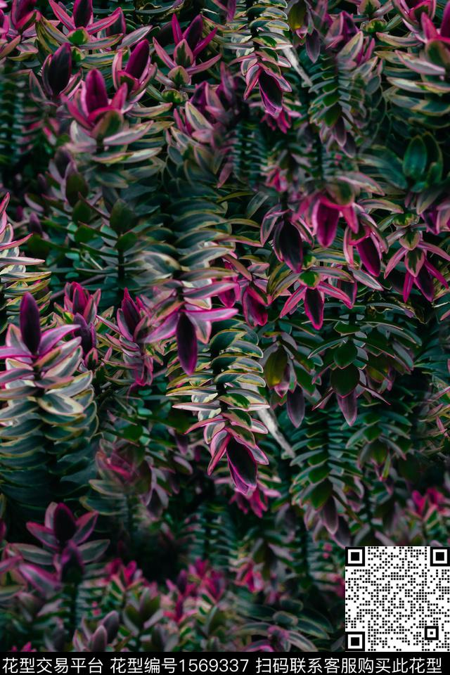 数码华亿平台绿植树叶数码印花华亿平台下载（图片编号: 1569337） - 瓦栏（Walan）