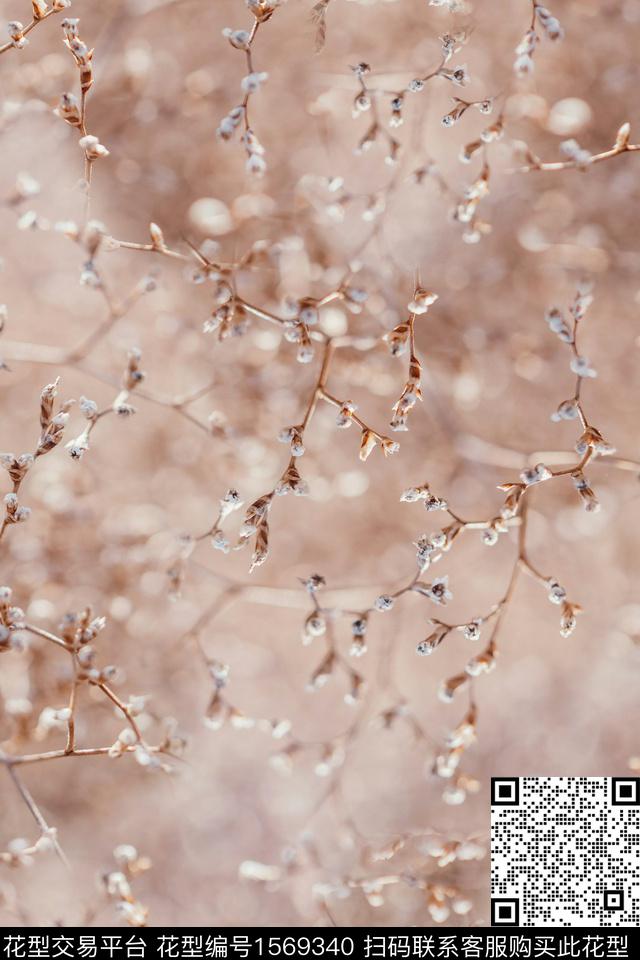 花卉数码华亿平台数码印花华亿平台下载（图片编号: 1569340） - 瓦栏（Walan）