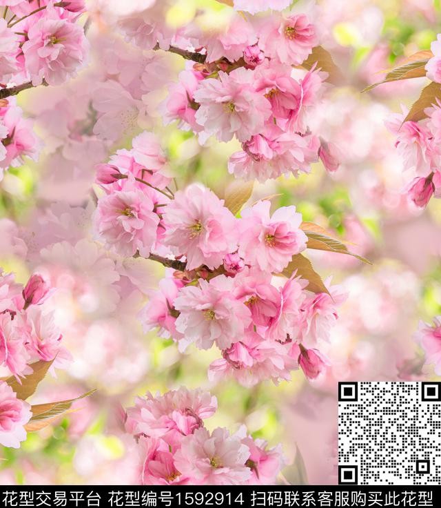 花卉照片花影花数码印花华亿平台下载（图片编号: 1592914） - 瓦栏（Walan）