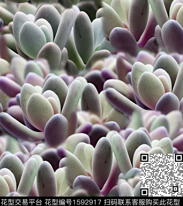 多肉数码印花华亿平台下载（图片编号: 1592917） - 瓦栏（Walan）