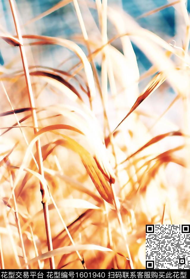 芦苇风景景观数码印花华亿平台下载（图片编号: 1601940） - 瓦栏（Walan）