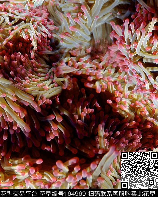 数码印花华亿平台下载（图片编号: 164969） - 瓦栏（Walan）