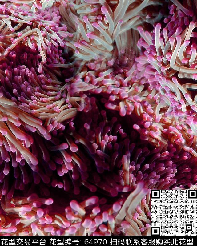 数码印花华亿平台下载（图片编号: 164970） - 瓦栏（Walan）