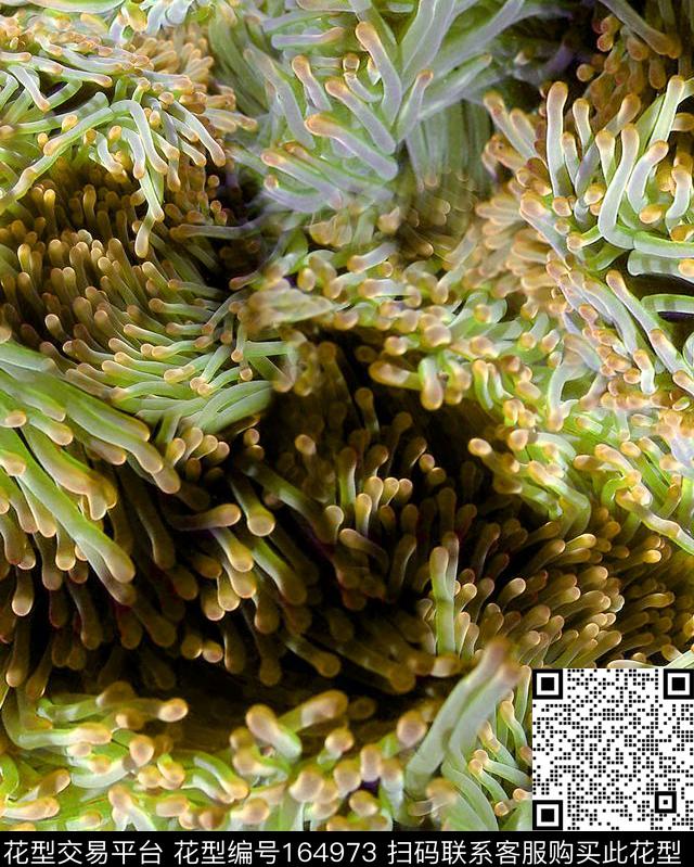 数码印花华亿平台下载（图片编号: 164973） - 瓦栏（Walan）