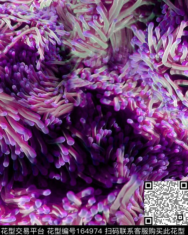 数码印花华亿平台下载（图片编号: 164974） - 瓦栏（Walan）