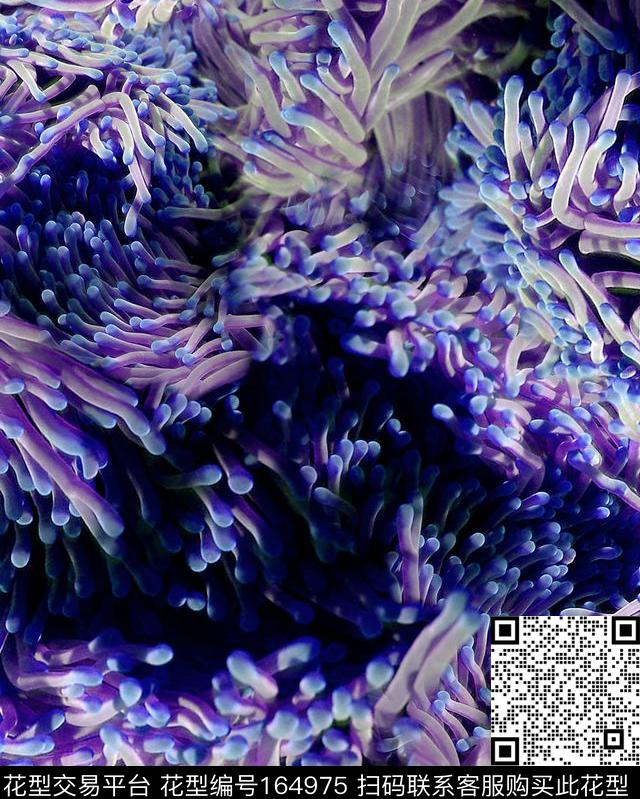 数码印花华亿平台下载（图片编号: 164975） - 瓦栏（Walan）