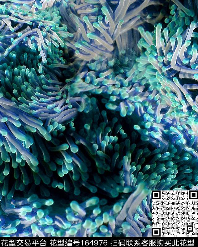 数码印花华亿平台下载（图片编号: 164976） - 瓦栏（Walan）