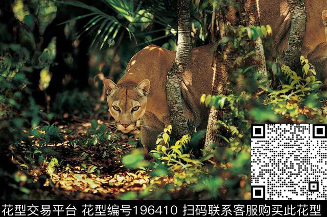 动物绚丽神秘数码印花华亿平台下载（图片编号: 196410） - 瓦栏（Walan）