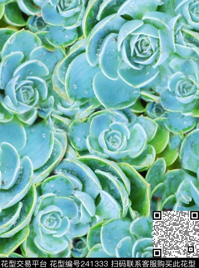 宝石花花卉写实花朵绿色花卉休闲数码印花华亿平台下载（图片编号: 241333） - 瓦栏（Walan）