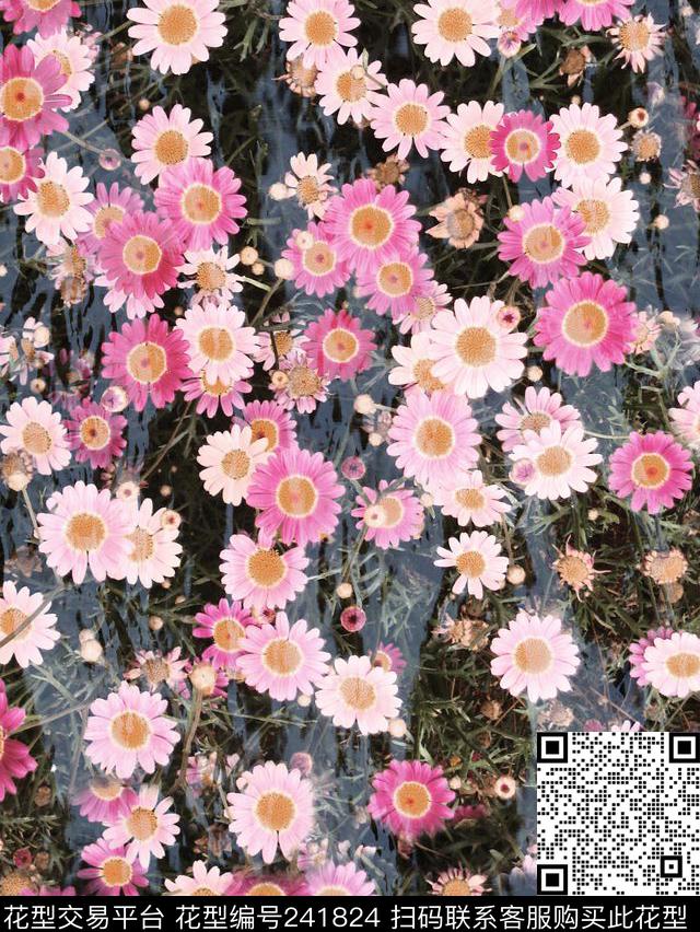 花卉小雏菊数码印花华亿平台下载（图片编号: 241824） - 瓦栏（Walan）