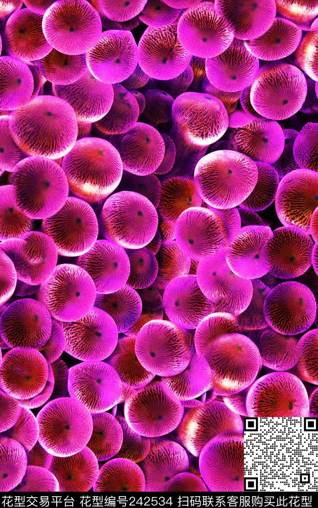 数码印花华亿平台下载（图片编号: 242534） - 瓦栏（Walan）