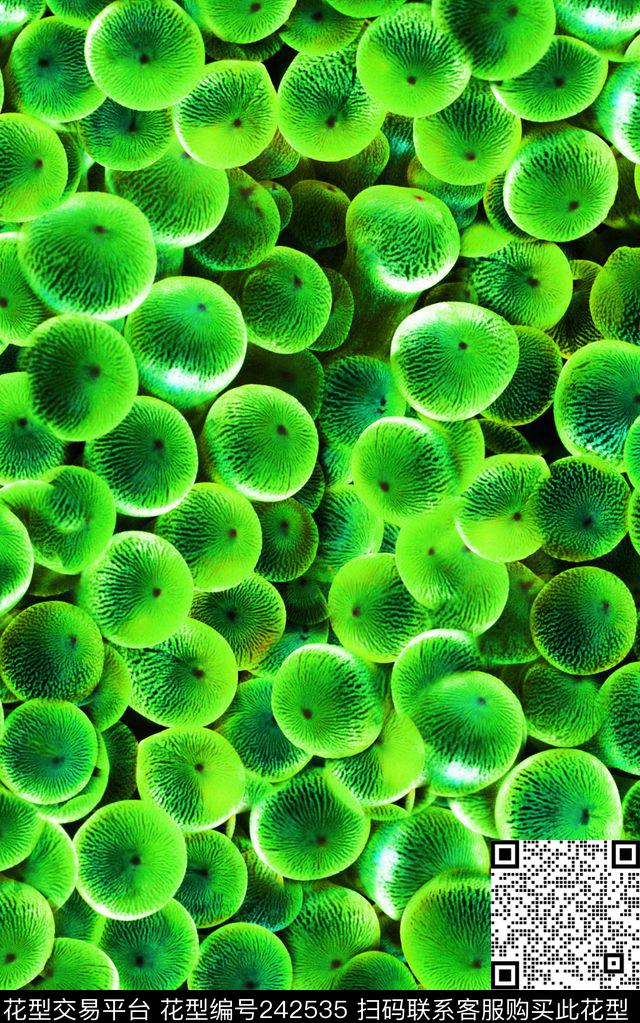 数码印花华亿平台下载（图片编号: 242535） - 瓦栏（Walan）