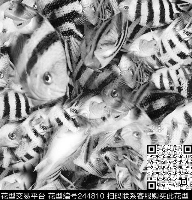 写实鱼热带印花动物黑白休闲怀旧数码印花华亿平台下载（图片编号: 244810） - 瓦栏（Walan）