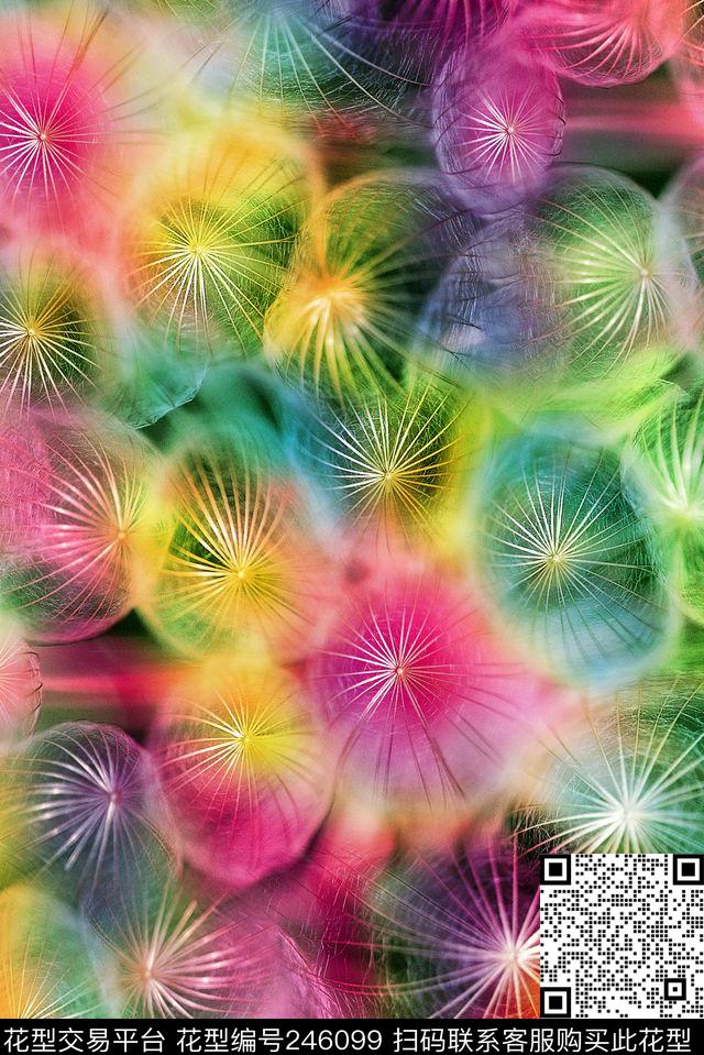 抽象五彩花卉花朵伞状服装数码抽象数码印花华亿平台下载（图片编号: 246099） - 瓦栏（Walan）