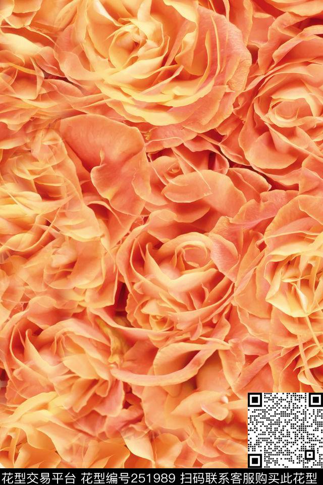 满底玫瑰橘色浪漫花卉休闲数码印花华亿平台下载（图片编号: 251989） - 瓦栏（Walan）