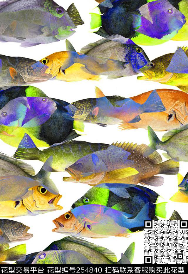 鱼写实照片海洋动物热带风情动物数码印花华亿平台下载（图片编号: 254840） - 瓦栏（Walan）