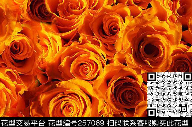 数码印花华亿平台下载（图片编号: 257069） - 瓦栏（Walan）