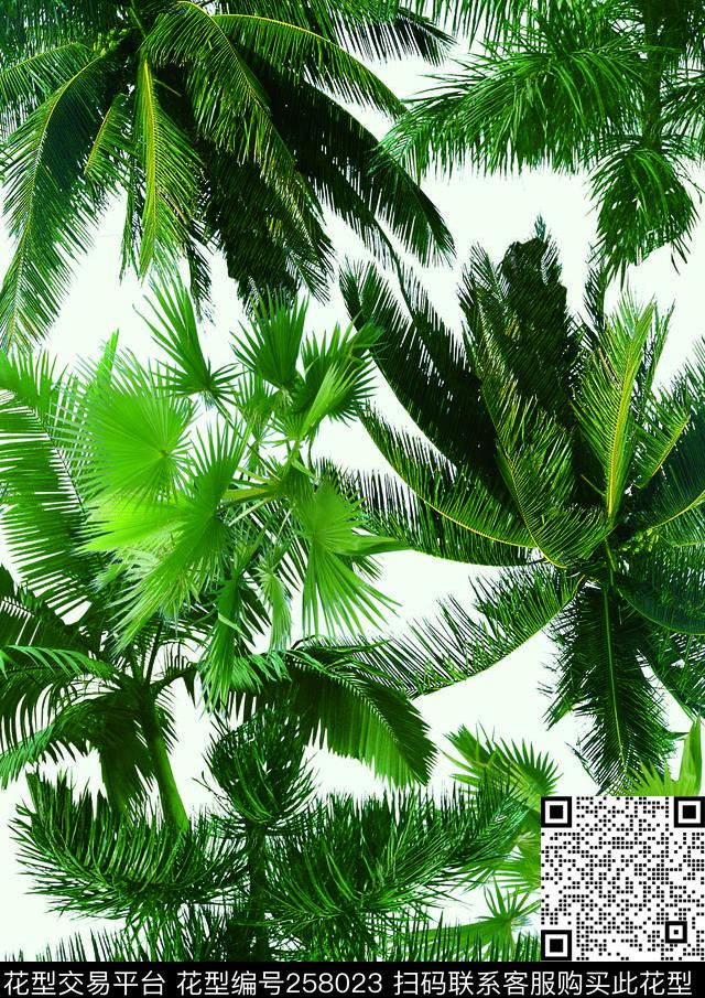 椰子树树木热带数码印花华亿平台下载（图片编号: 258023） - 瓦栏（Walan）